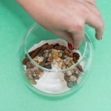 Resin Terrarium Kit