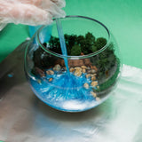 Resin Terrarium Kit